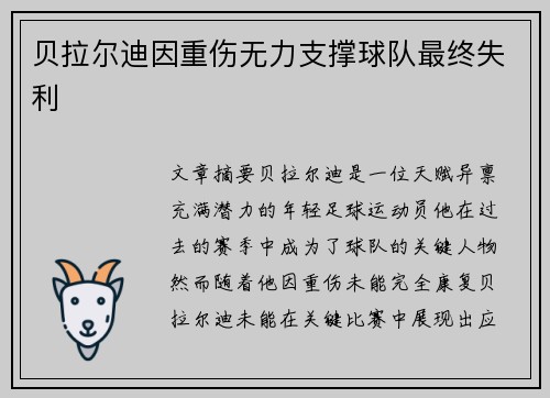 贝拉尔迪因重伤无力支撑球队最终失利 贝拉尔迪因重伤无力支撑球队最终失利