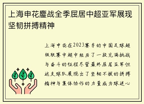 上海申花鏖战全季屈居中超亚军展现坚韧拼搏精神